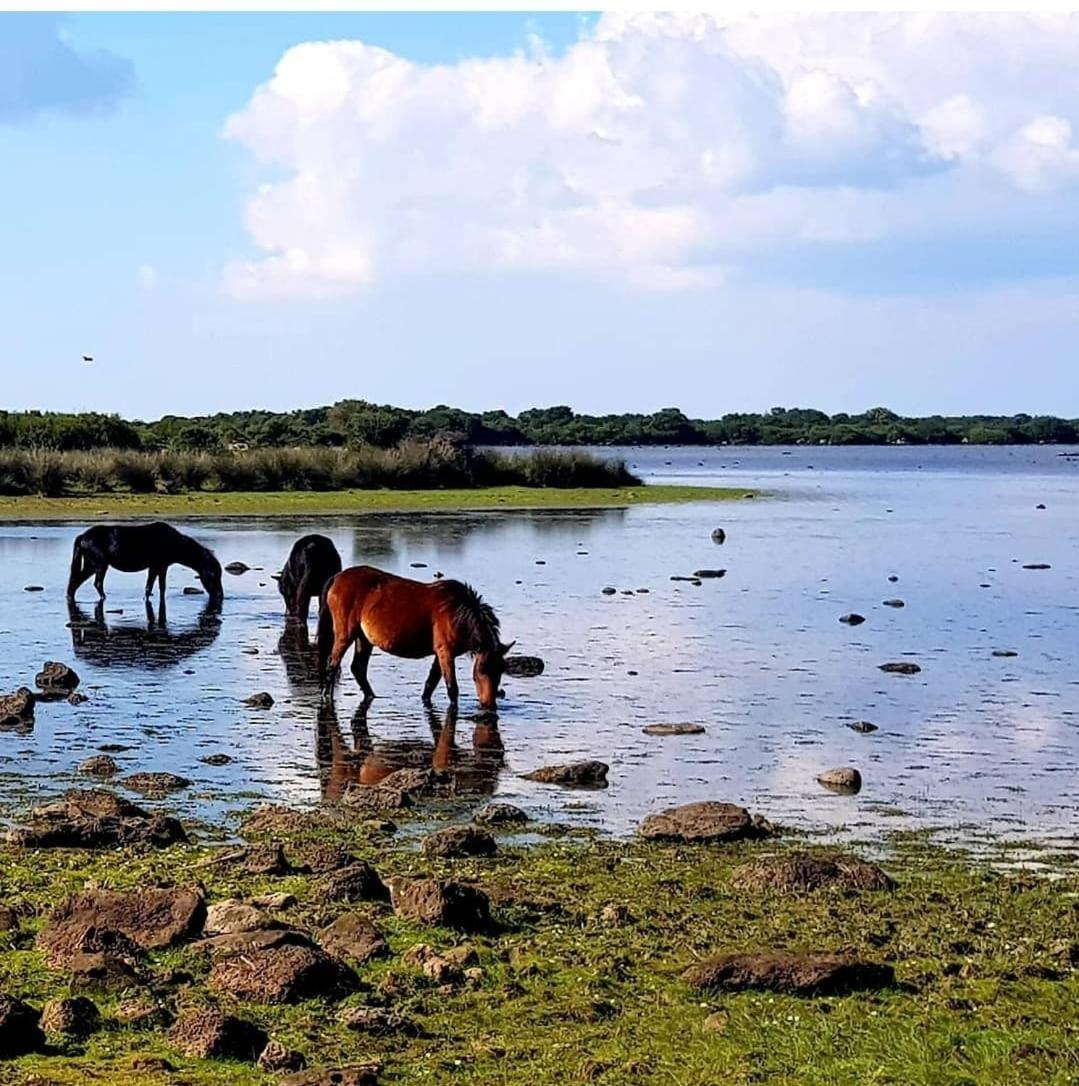 Casa Susanna Rural Sardinia Sini Kültér fotó
